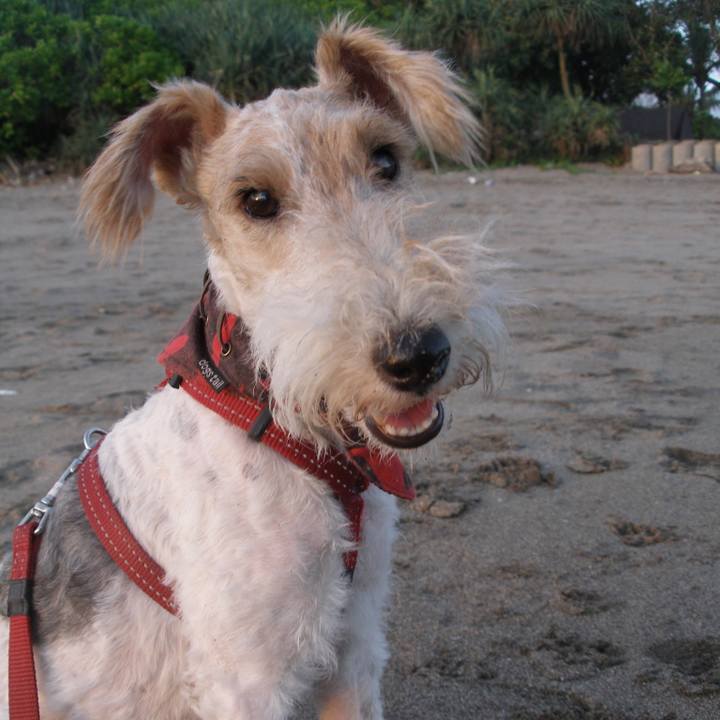 B5167c38 a430 4680 adf3 3d0eced8c95b