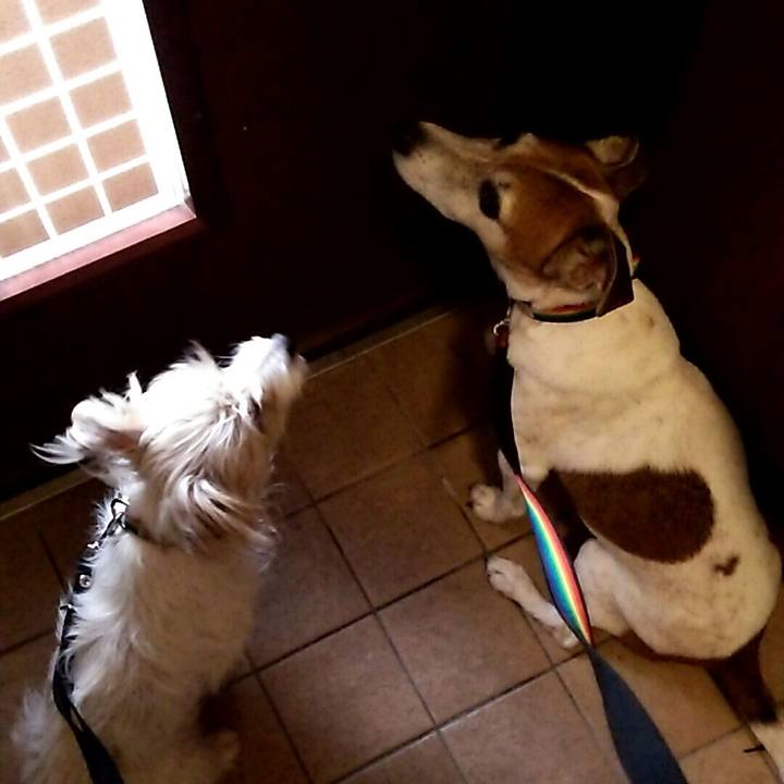 B5169881 bdba 49ef b60f d0a77a8b49d1