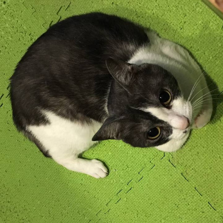 B51740de d083 42f6 82a1 dbff941b2d63