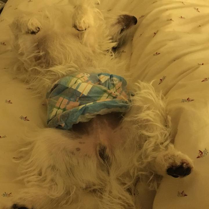 B5192806 af8e 4b16 bab3 9b97f9f815ae