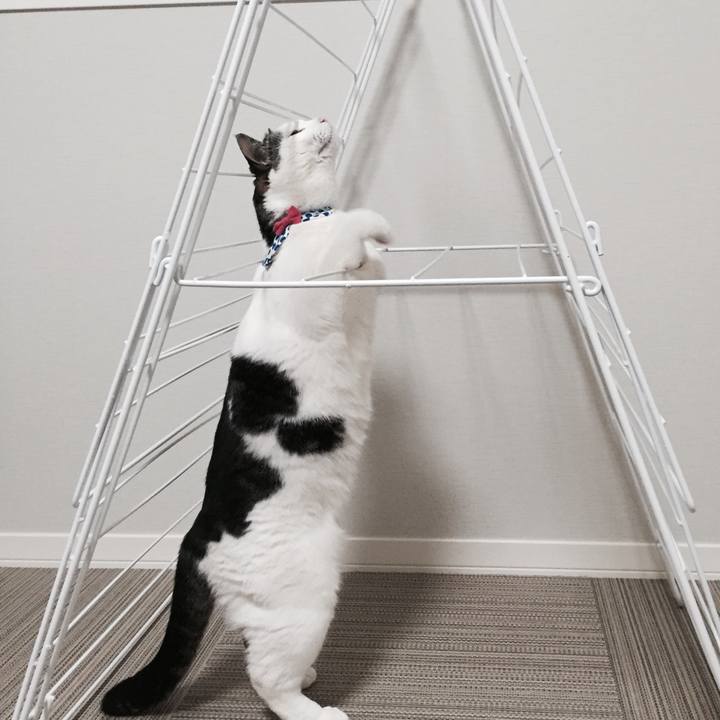 B5194603 dc12 4d0a badb 7de470631945