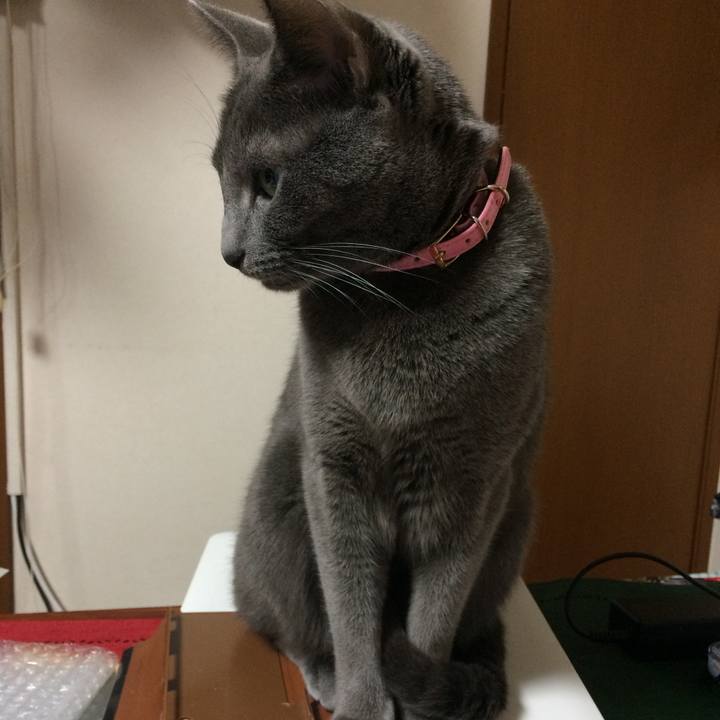 B5197456 af21 453c 955b 3896692171cc