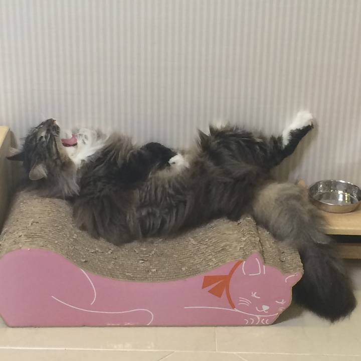 B519b013 b1db 4b4f b3b6 2d221403d42c