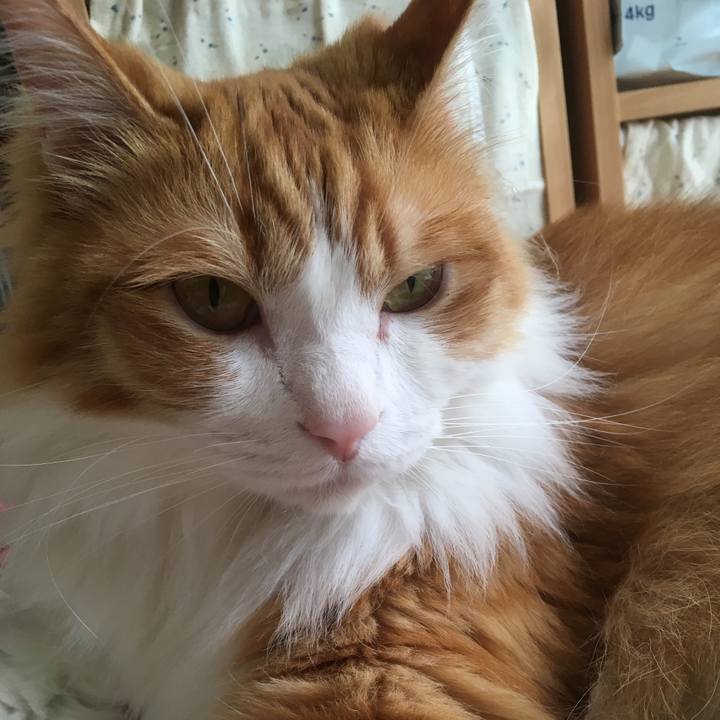 B519bdc5 63dd 41d7 84b5 4ec16784046a