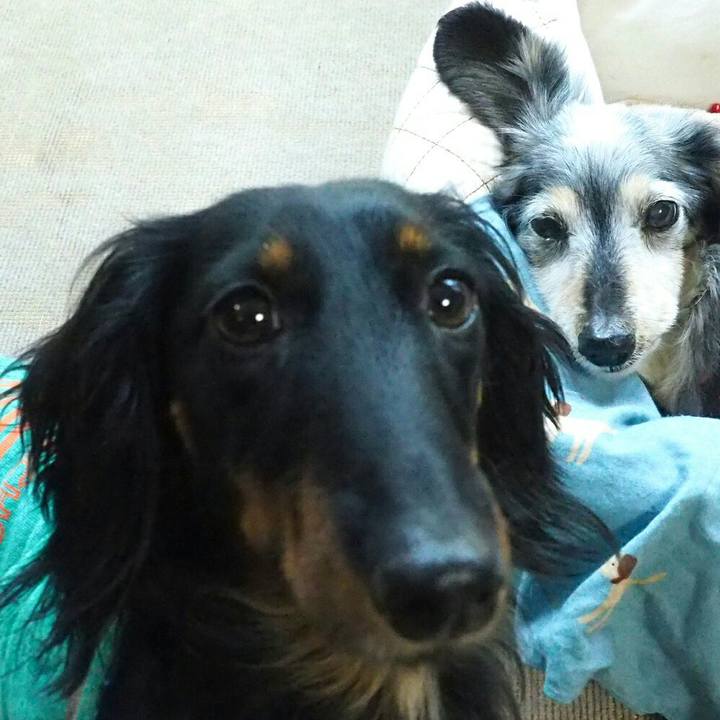 B51a0e90 b1c2 44fb a7c7 71bbf6d1a9fa