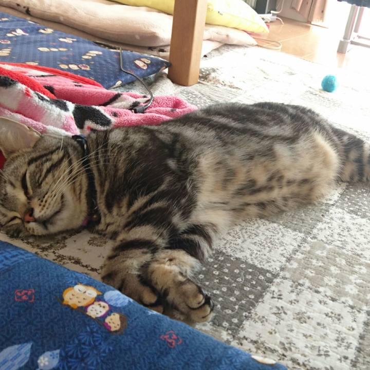 B51a1d3d 1f70 4634 8311 b4ad47ccf516