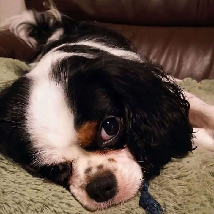 B51b8a10 644c 4e26 a56c 6a897feca4a3