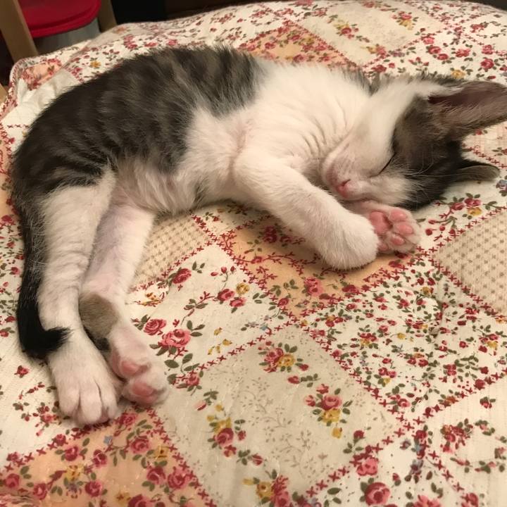 B51c13fb c76e 434c 841c de47240b410f