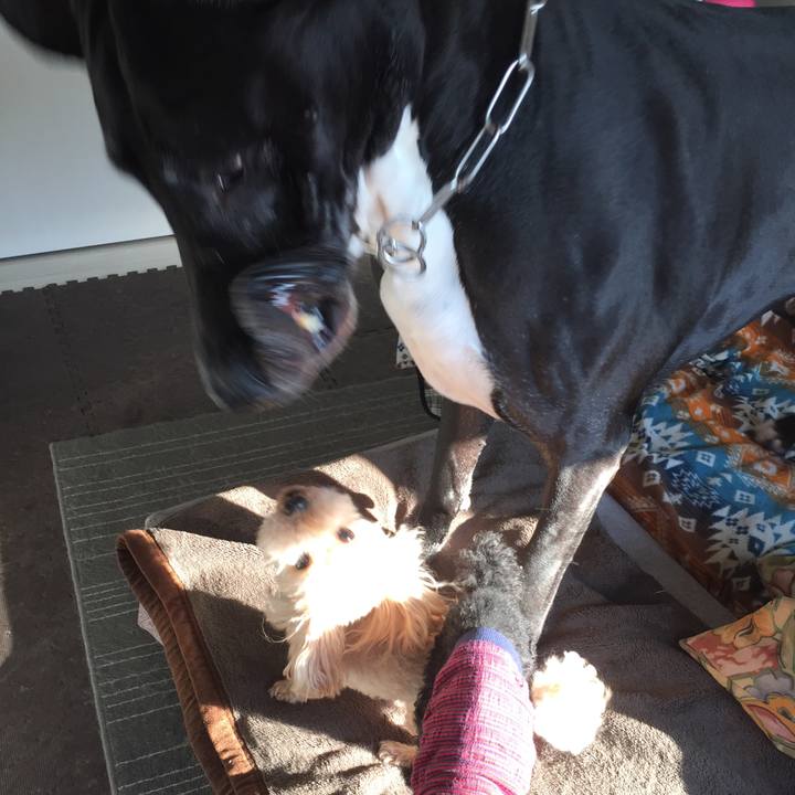 B51c453a 3227 4425 8c39 70c78160079b