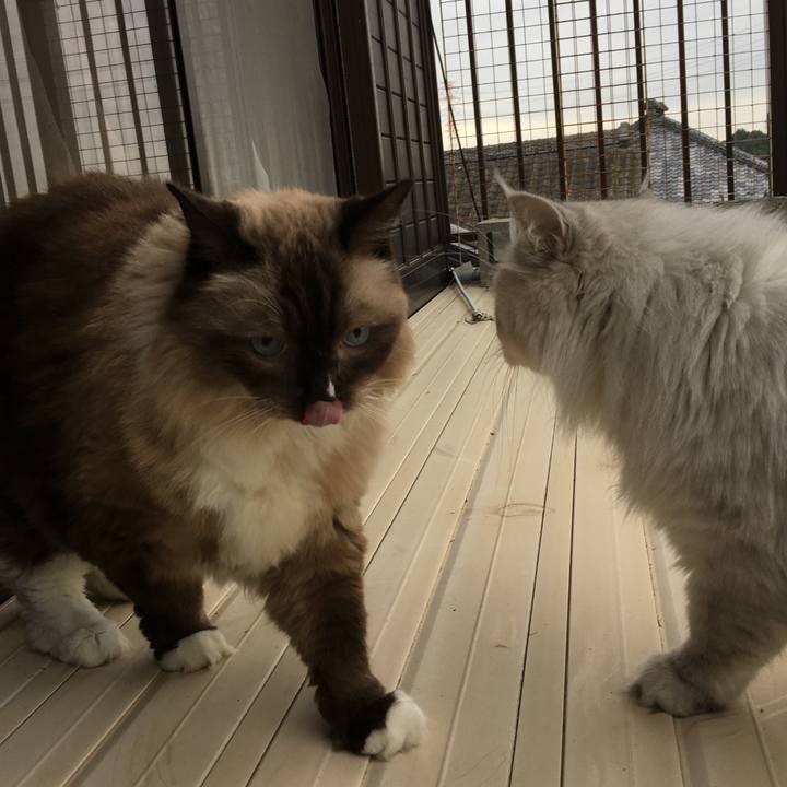 B51c81aa 4d15 4262 9879 815d3e6473a7