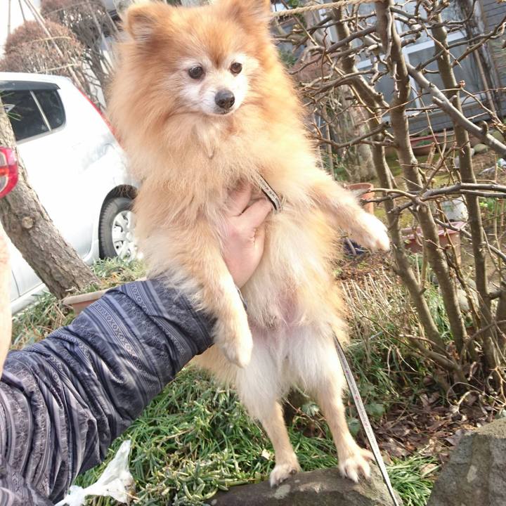 B51cafcf f9e3 4145 91cc 14086fe84471