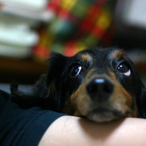 B51d2814 0641 43d1 b327 ff0b400c8363