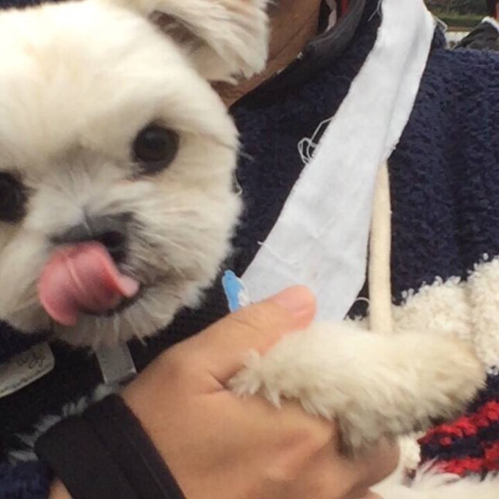 B51d7c9f 37ff 4fff 8b8f c0c042d7aba9