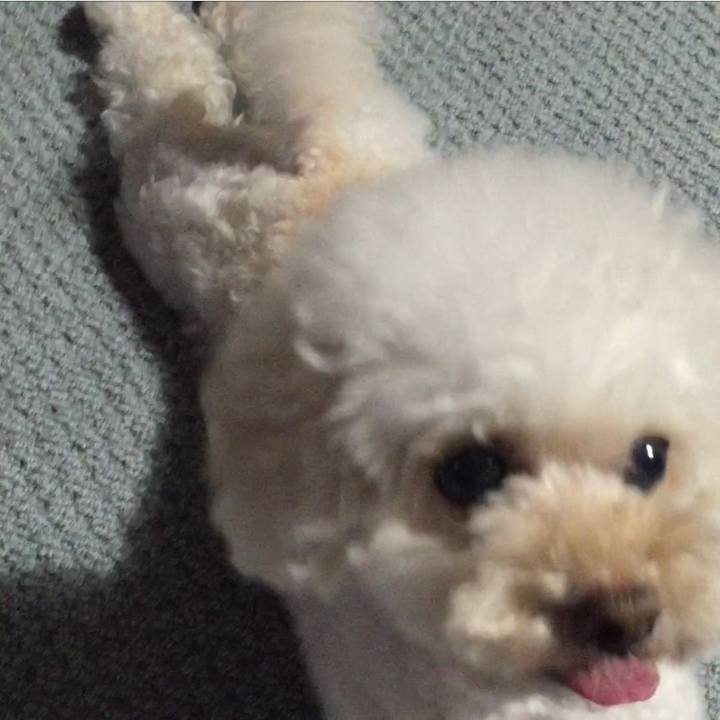 B51e3e97 25cd 489f 837d cac67612493e