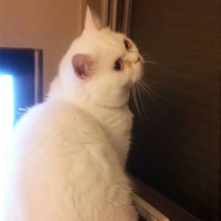 B51fb167 fb96 4f07 a543 e810e8ed4646