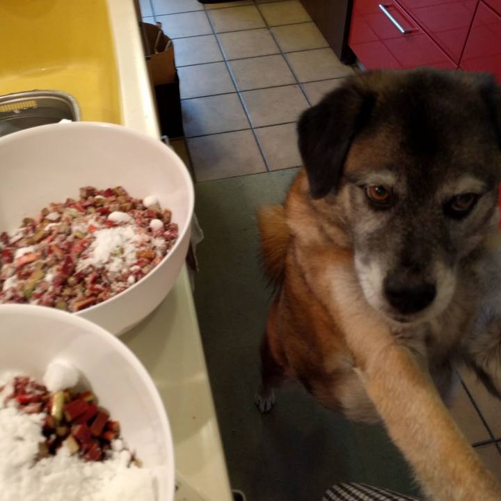 B520d507 705d 4704 bc56 054779c3c887