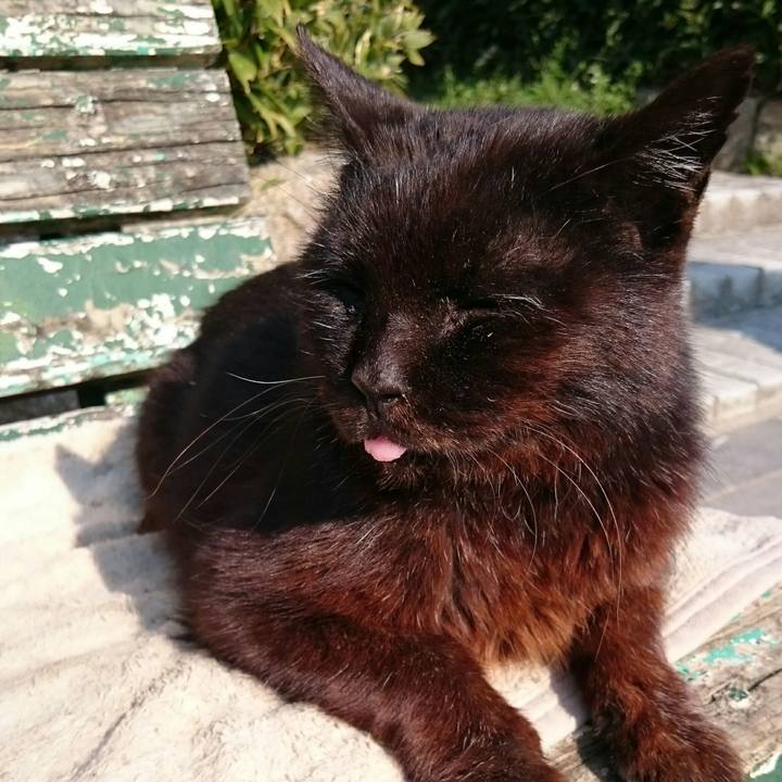 B521670b 6542 4812 9466 7f45b601d0cb