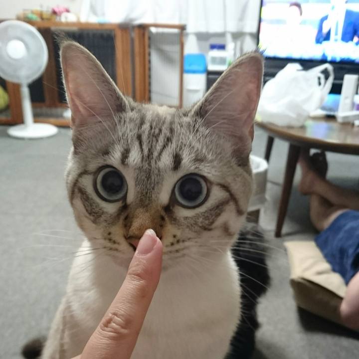 B52191a6 1ea8 4881 92d9 012e6acbb6da