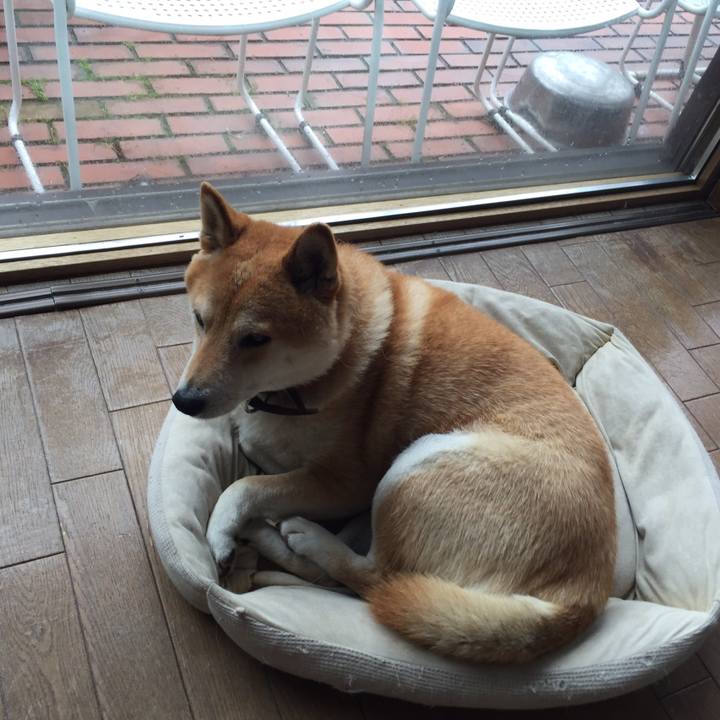 B5226ff2 ee5f 4a39 8ffe 40fb4d254a20