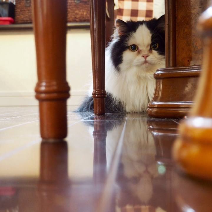 B523d0cb 8121 4758 99b7 8e15d0be91ab