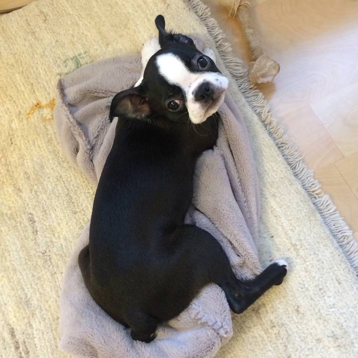 B524cca0 5c3e 4a43 ad67 c6f6f5936189