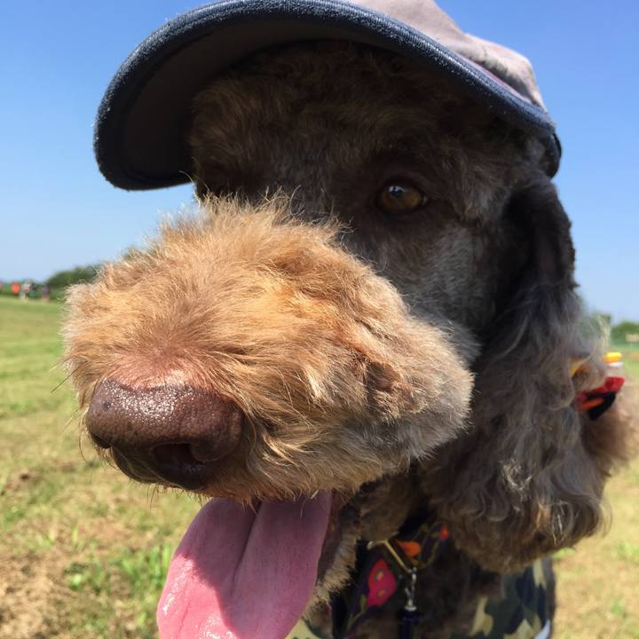 B525ef5d fd89 42d9 aaf4 217b89420c54