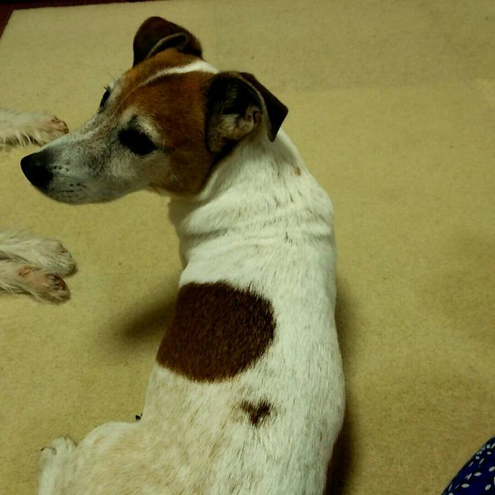 B526a1d3 0cfc 41af a546 fc5aaef619b8