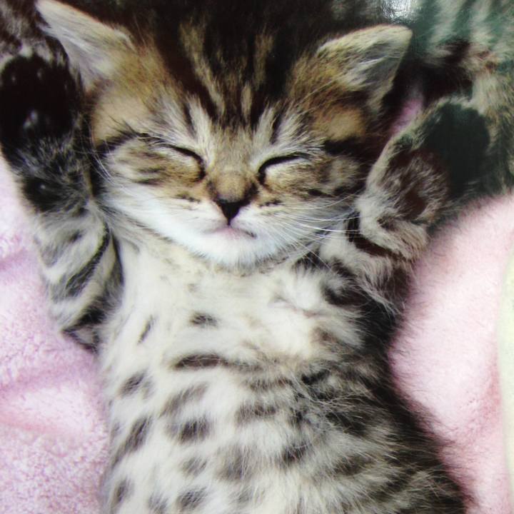 B527061f b53a 4be1 8775 7970929d2a0b