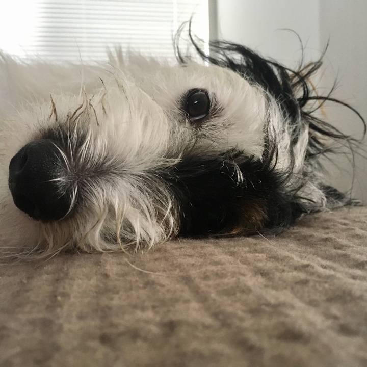 B52716ed 5860 49e8 96b4 fba6ea08ec68