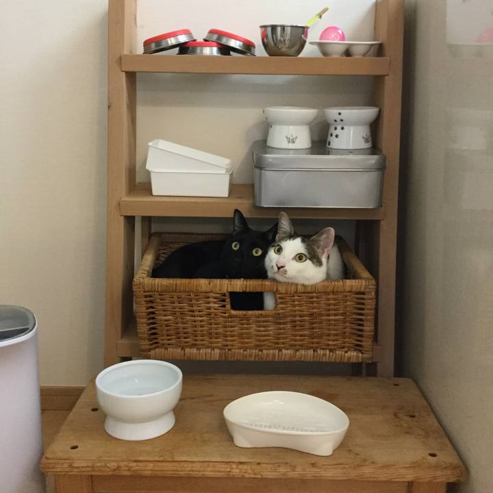 B52756bf 450c 42e1 afff a1cdf8d39596