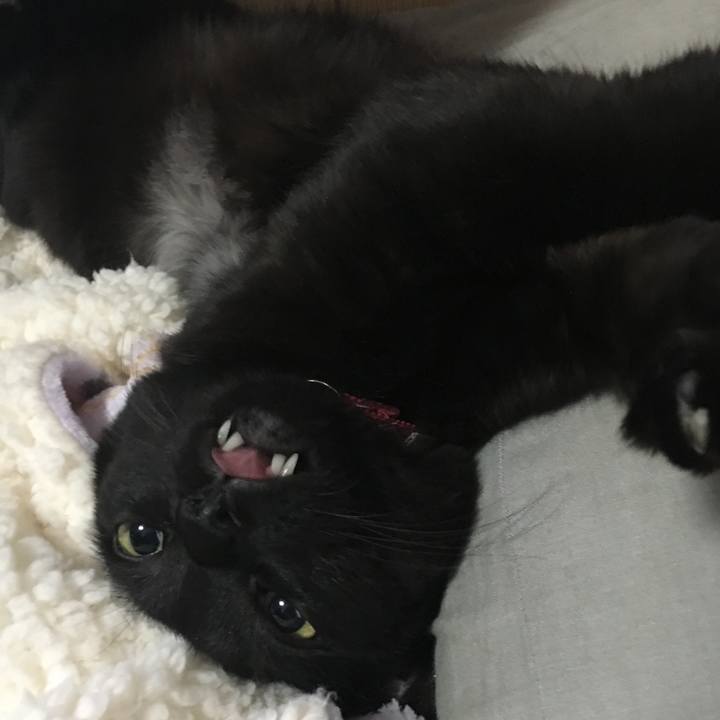 B52803e7 5b33 452c 8382 b2db10aae45c