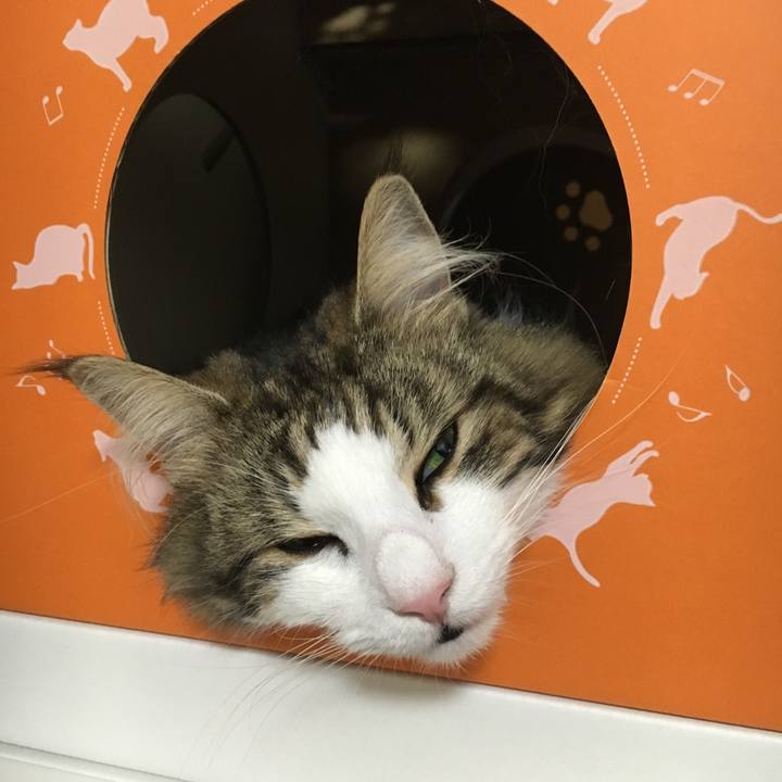 B528aaf8 6ea3 4a31 9ce3 c96879fff61c