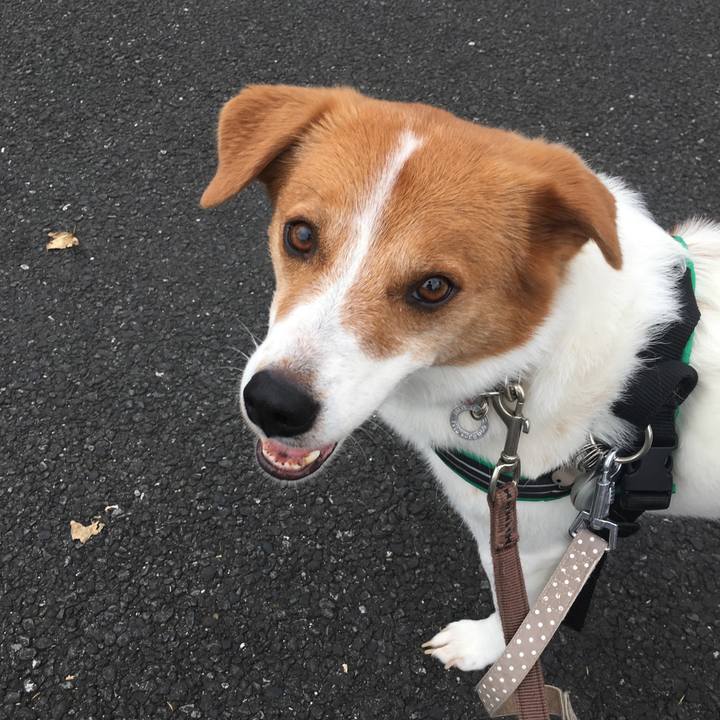 B5292f04 55e7 4a0d ae23 5e2c7ac8f93d