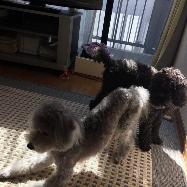 B5296017 126d 4fa0 9de0 7610e9df4e2e