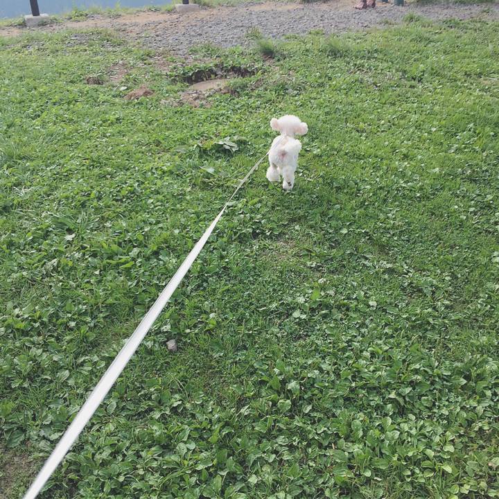 B52993eb 1972 47c1 9603 ec2f407cc0e3