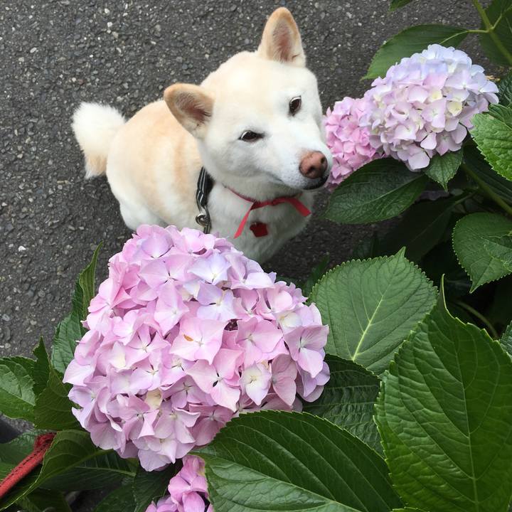 B52a50a9 7db3 44dd a2aa 08c00a1f2d06