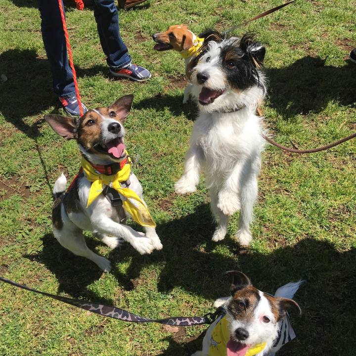 B52a50fb 0976 45bc 817e 290325bd3975