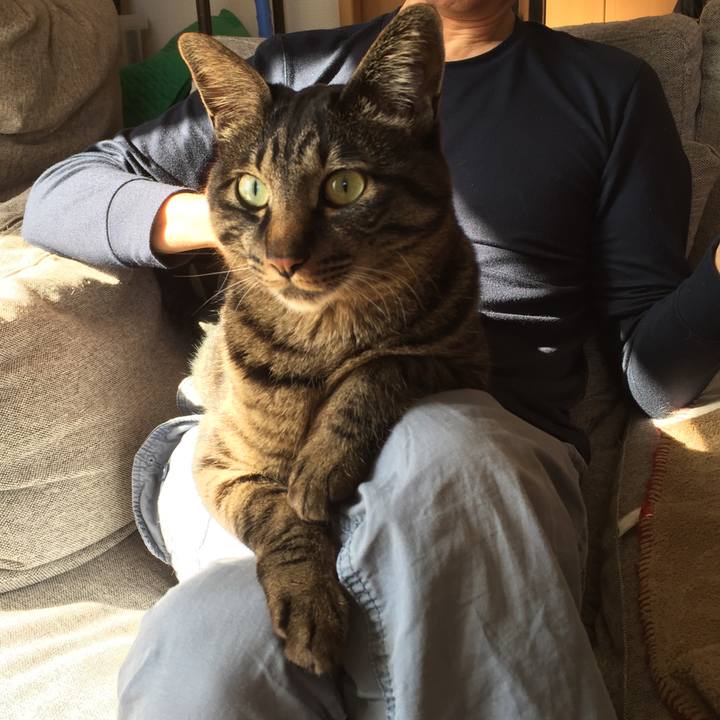 B52aa7f5 622e 42dc 94a8 65e9e3c936d3