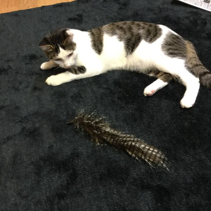 B52b0db6 f10c 4245 9673 7e8d7ea11825