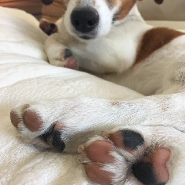 B52b24d5 5913 44e6 a17f e7df36b43d43