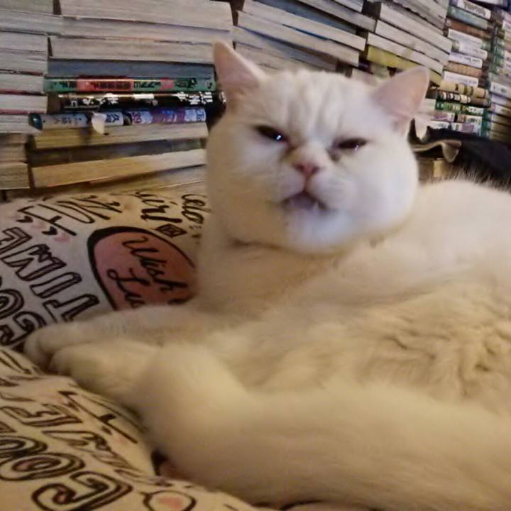 B52c477f 0ef3 48d6 8336 a4ffc45ad008