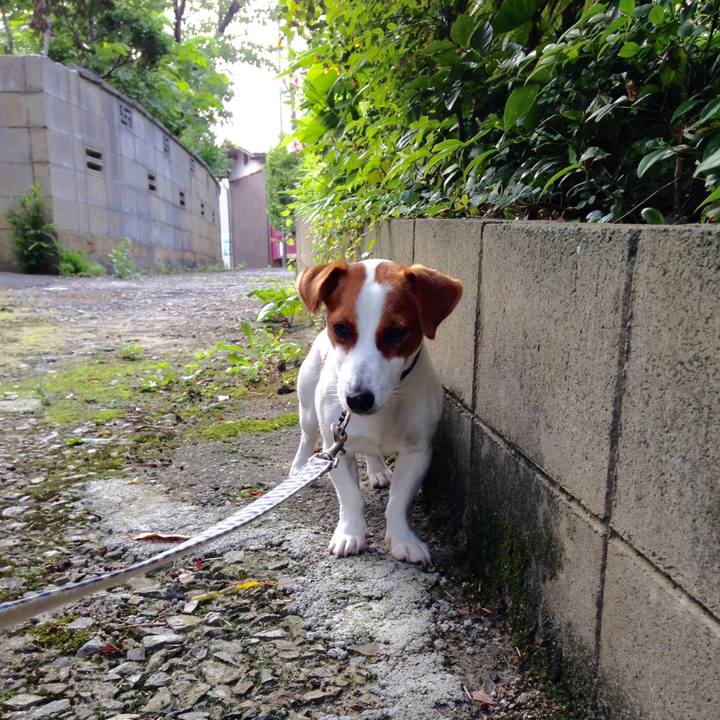 B52c6c68 f9a2 44a4 aad9 be95a2595df4