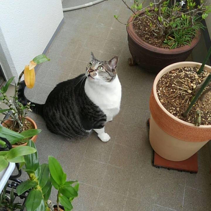 B52cc0cd f3d3 49a7 a419 2987118a2c58