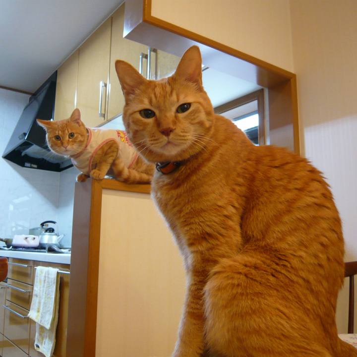 B52cc276 9939 4a6d 9b9b 0af4688ffbbf