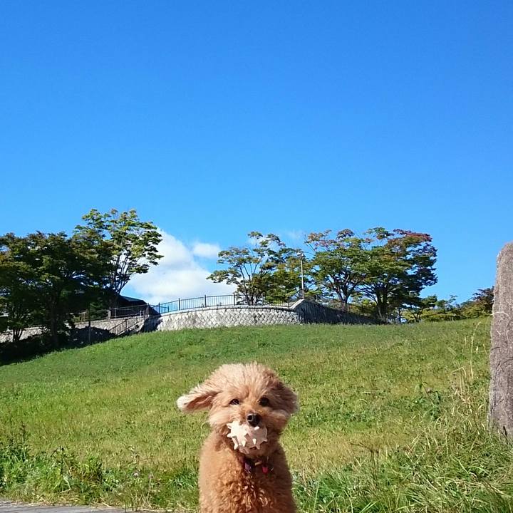 B52cf863 a953 43ee 9606 2ff0794d708e