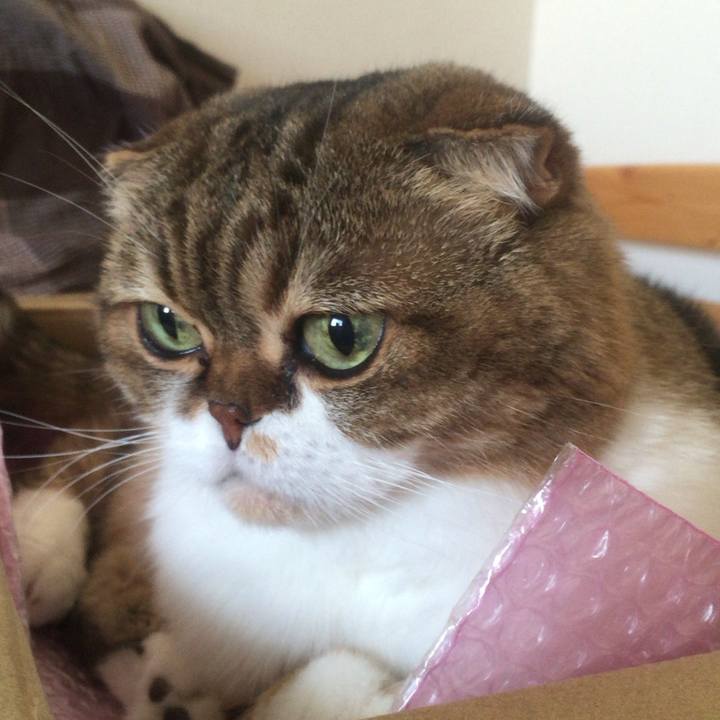 B52d403f 22e4 49d6 b456 0e9847f78b8f