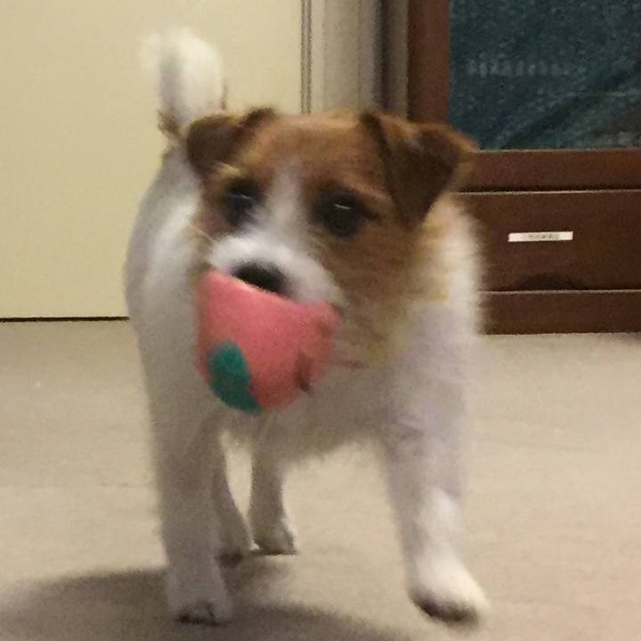 B52da292 05ce 46ab 8664 a2f1f575a0fc