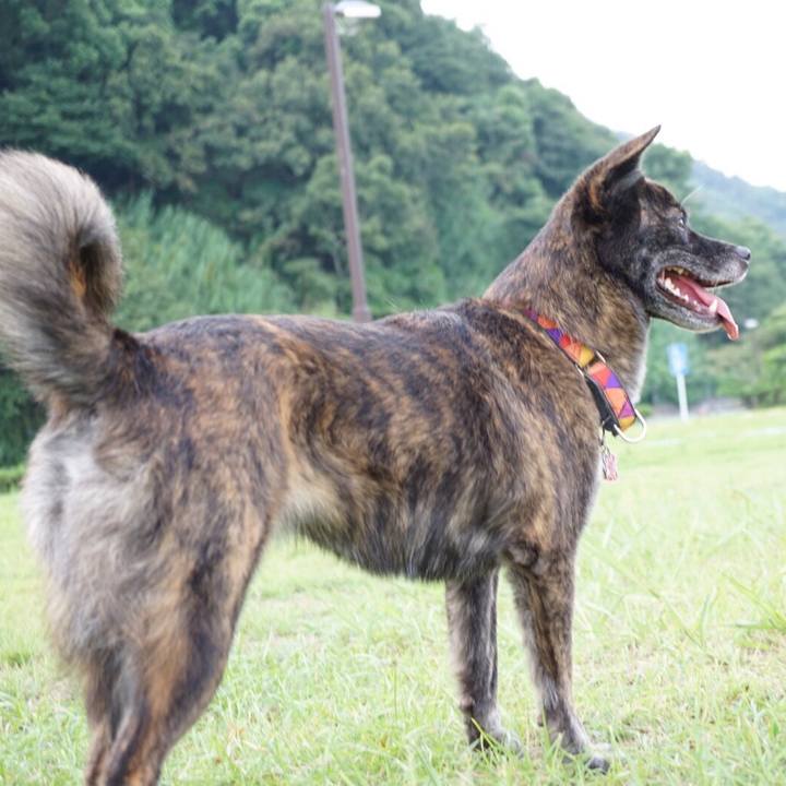 B52db576 f8cd 4e42 a5ca 745d4e4aecef