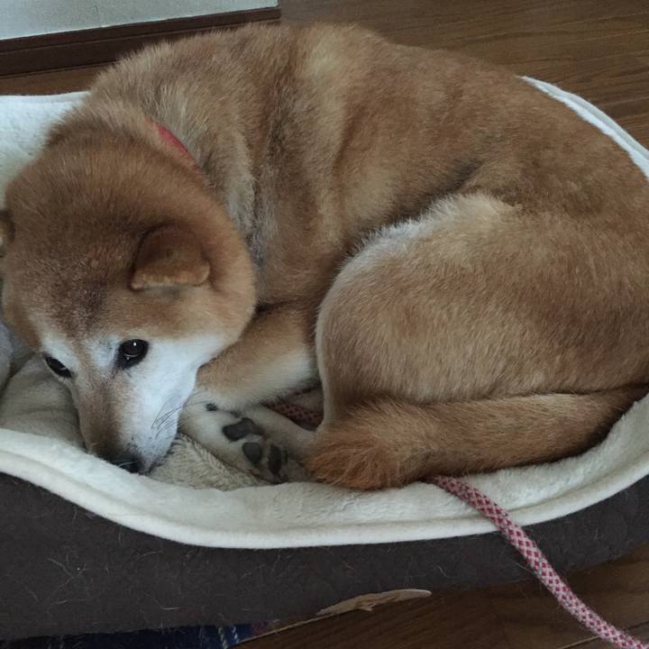 B52defa8 5e4a 4b53 9da4 4fe391232554