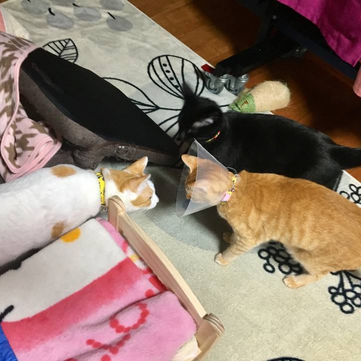 B52e1447 da24 4a22 ac04 f94b3185d15b